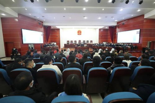 安徽績溪 利用四百多家 空殼 公司虛開增值稅專用發票 39人特大涉稅案一審宣判