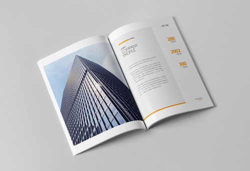 簡約大氣，專業信賴 商務咨詢與投資企業公司畫冊